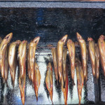 04_geraeucherte Forellen.JPG